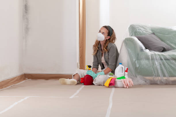 Reliable Crawl Space Mold Removal contractor in Forest Lake, MN by WQB Mold Removal
